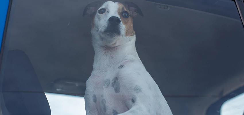 Car Lockout Solutions in Vincent, California