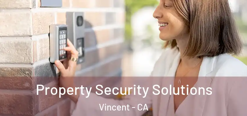  Property Security Solutions Vincent - CA